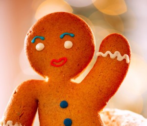 Gingerbread Man. Christmas Holidays