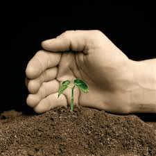 4 qualities of a great Lead Nurturing Program
