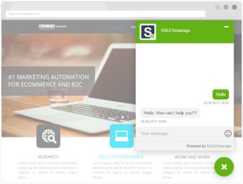 Beyond the Plain Website Chat: Live Chat by SALESmanago
